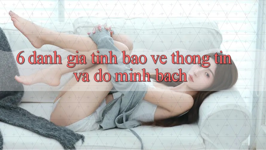 6. Đánh Giá Tính Bảo vệ thông tin Và Độ Minh bạch