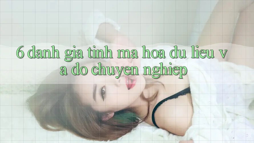 6. Đánh Giá Tính Mã hóa dữ liệu Và Độ Chuyên nghiệp